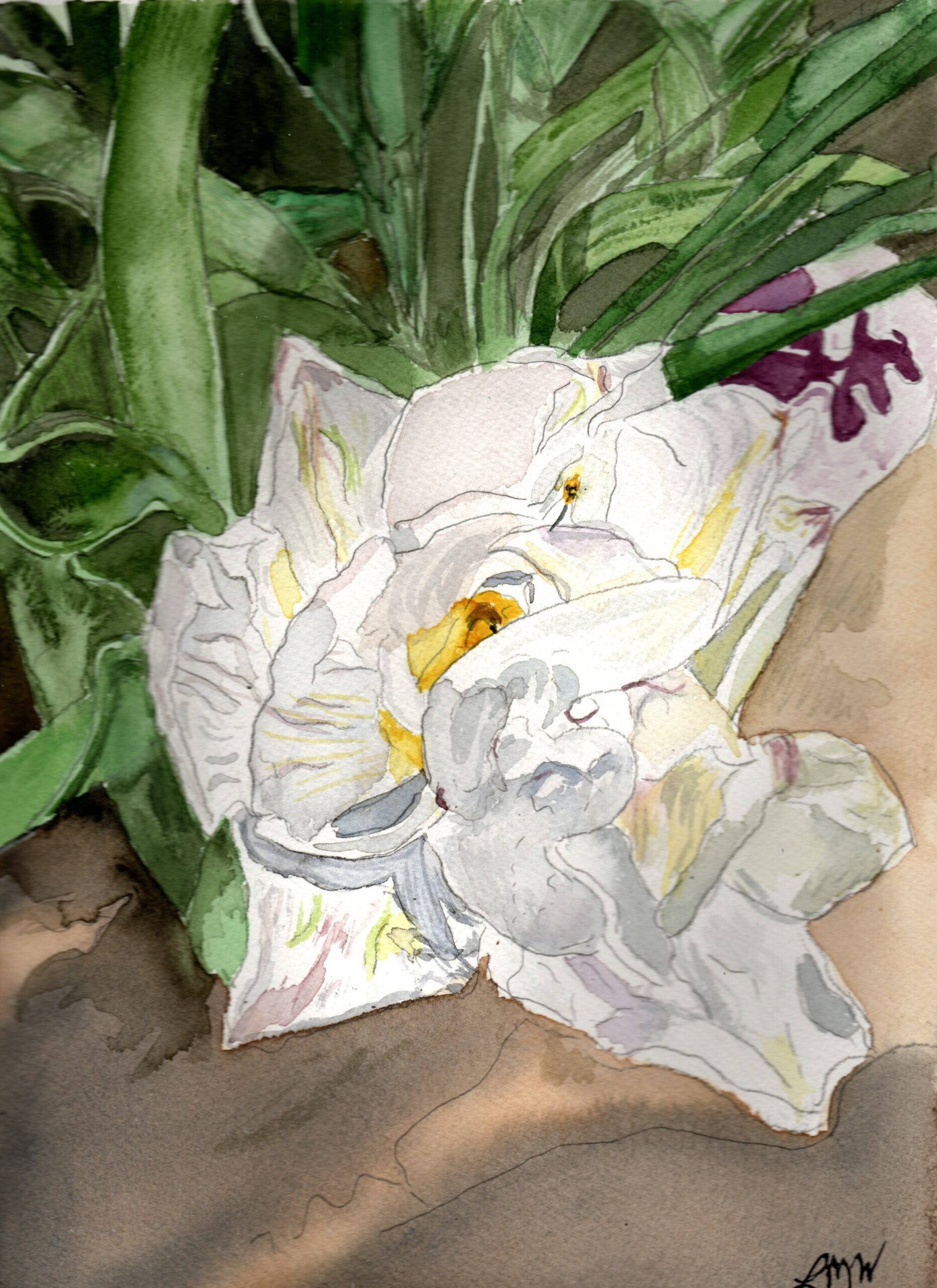 Atlanta Blooms watercolor print 3